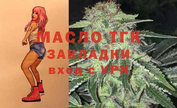 герыч Бронницы